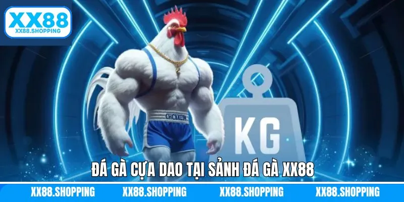 Trải nghiệm cá cược hấp dẫn với chọi kê cựa dao