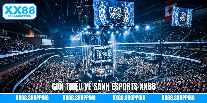 Sức hút đỉnh cao của thể thao điện tử