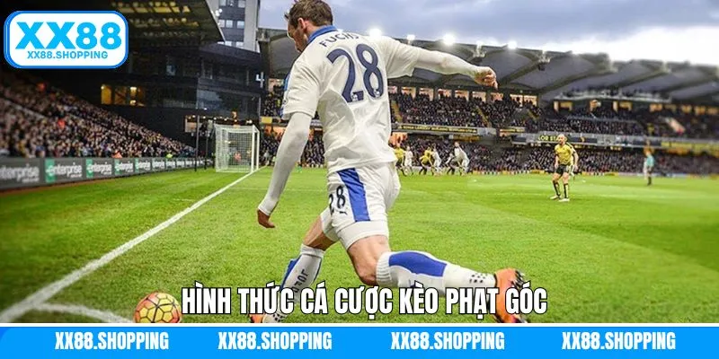 Đặt cược chấp thú vị trong kèo phạt góc
