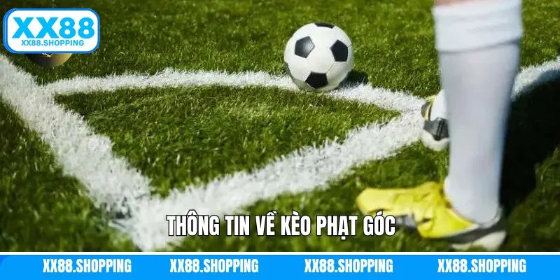 Vài nét chính về hình thức cá độ đang hot